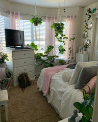 A living room adorned with big plants radiates freshness, style, and tranquility.