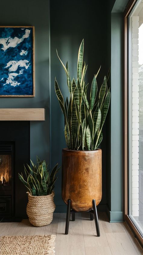 Nature’s Charm in Every Corner