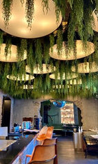 RECEPTION WITH BRIGHT CEILING FRESH HANGING PLANTS