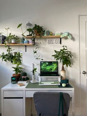 ROOTED IN STYLE:PLANTS TRANSFORMING HIS BED ROOM SPACE,SON ROOM