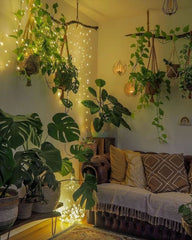 The drawing room is a gentle fusion of style and serenity,