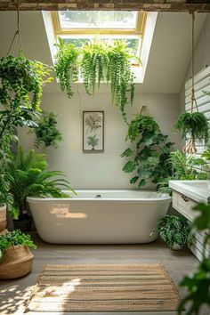 bathroom plants,A Breath of Fresh Air