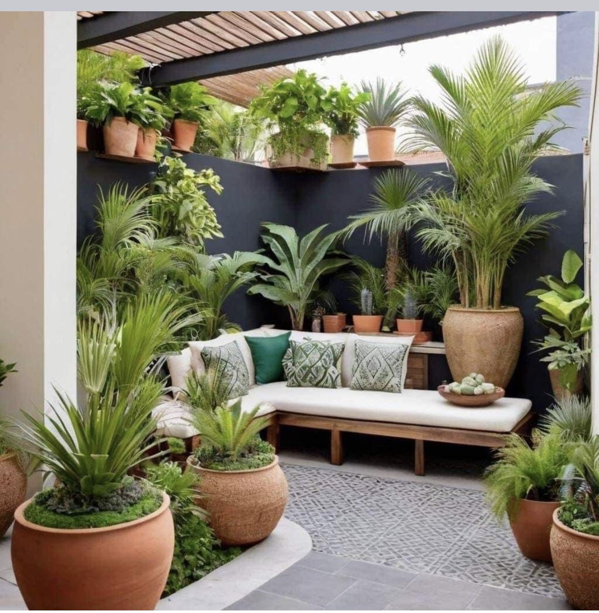 LONG AND SHORT PLANTS IN BALCONY(A Writer’s Retreat)