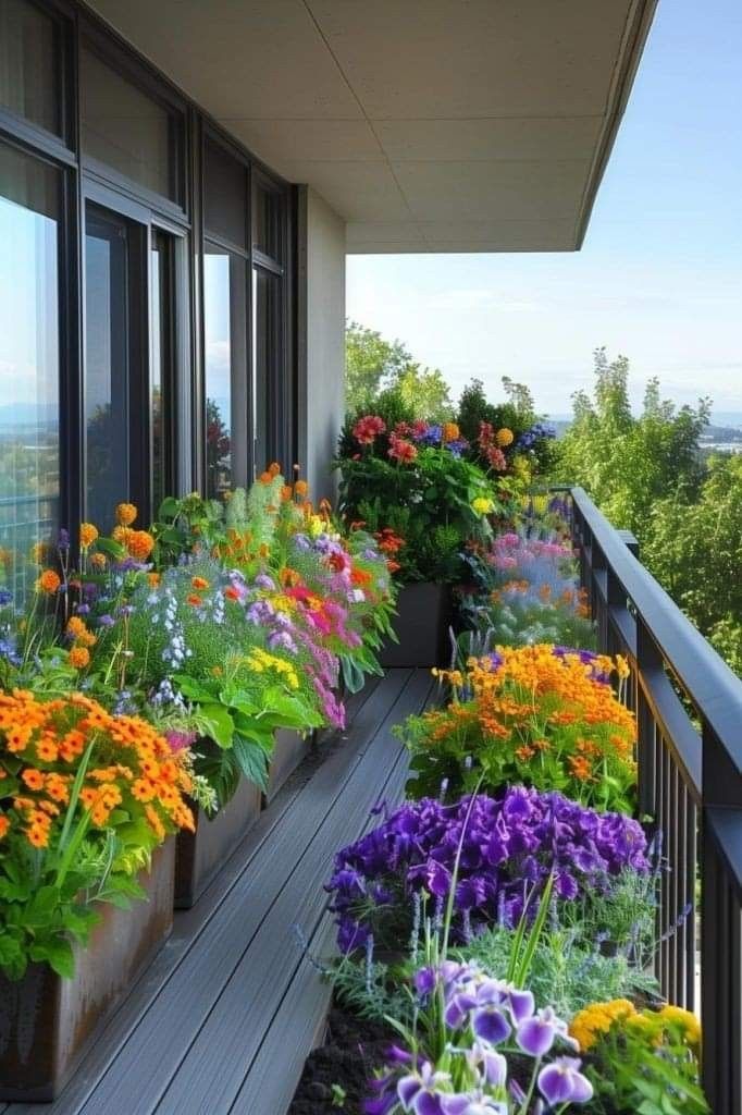 BALCONY  WITH FLOWERS,Urban Jungle Escape