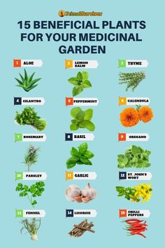 medicinal plants