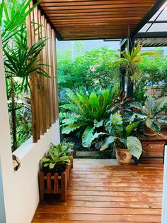 COZY WOODEN BALCONY WITH STUNNING PLANTS
