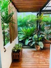 COZY WOODEN BALCONY WITH STUNNING PLANTS