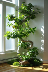 moss stick hold any type od creepers