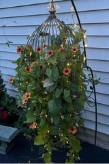 CAGE WITH PINK  FLOWERS