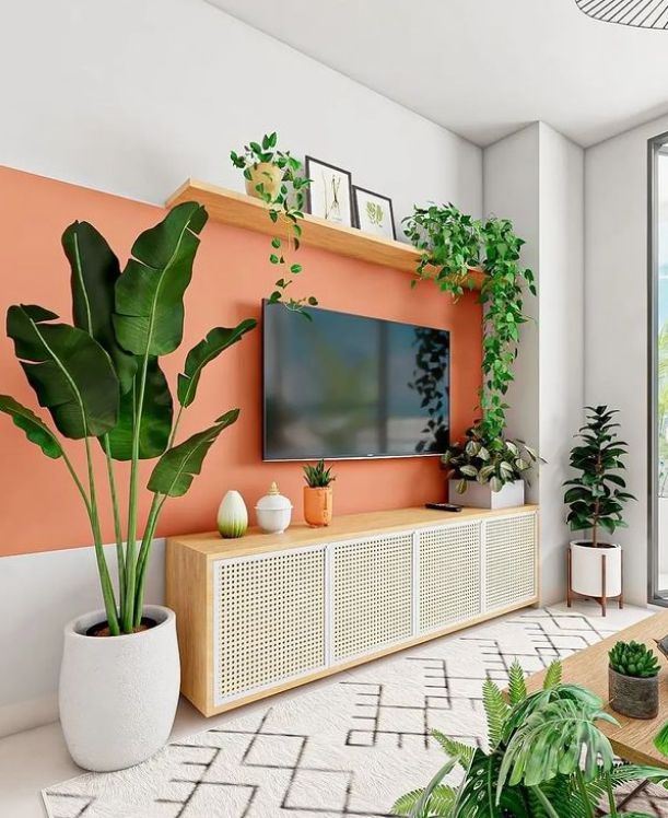 TV ROOM WITH LONG PLANT