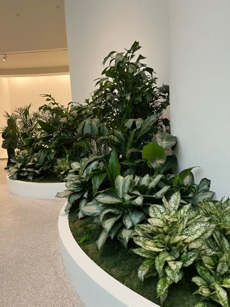 Creating a Refreshing and Luxurious Lobby Experience