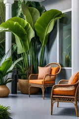 The Psychological Benefits of Plants in a Lobby