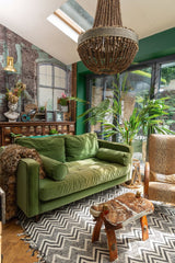 A drawing room filled with plants radiates warmth, charm, and natural elegance.