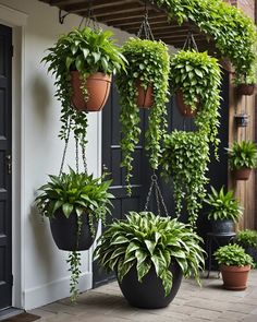 CLASSIC MACRANE HANGERS FOR SUNLIGHT,Making the Most of Small Corners
