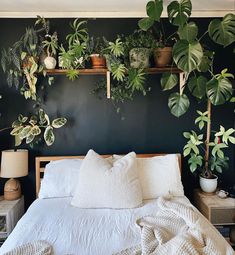 GUEST ROOM FOR SPECIAL PERSON,15 X  15