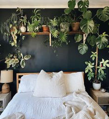 GUEST ROOM FOR SPECIAL PERSON,15 X  15