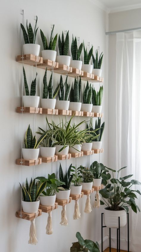VERTICAL PLANTS