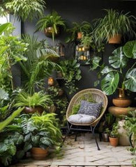 CORNER OF ROOM WITH MANY PLANTS,A Touch of Nature in Every Corner