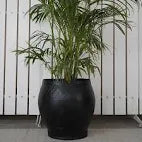 Ceramic Planters ✅ Elegant, stylish designs ✅ Retain moisture well