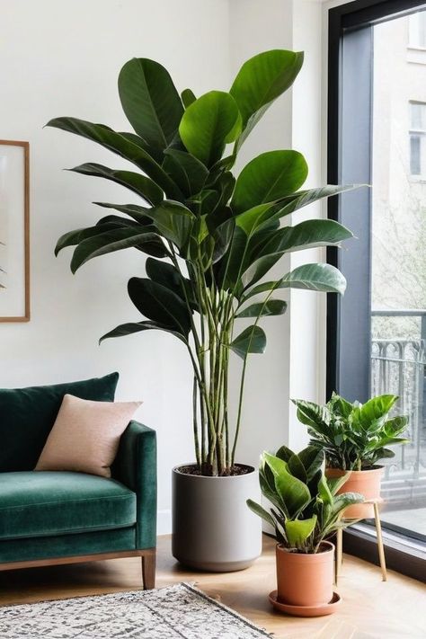 A Serene Green Sanctuary