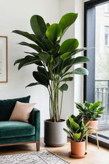 A Serene Green Sanctuary