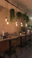 RECEPTION WITH HANGING BASKETS
