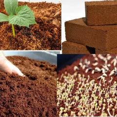 coco pit Excellent water retention – holds moisture for long periods.  Good aeration – roots breathe easily, preventing rot.