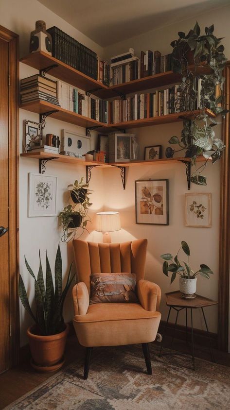Transforming an Empty Corner into a Green Sanctuary
