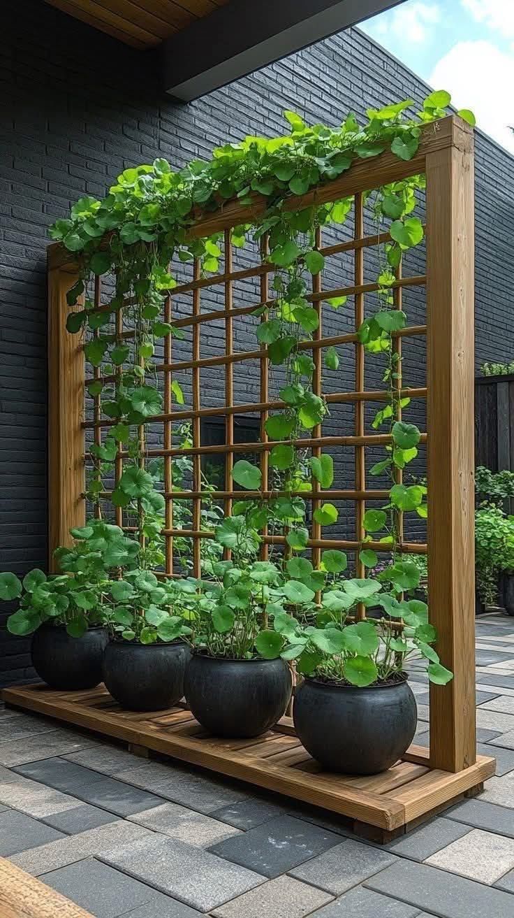 discover the charm of unique plants that break the mold