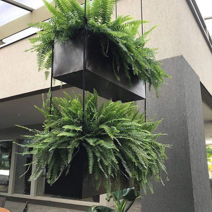 HANGING BLACK PLANTS FOR CAFE,Bringing the Outdoors In with a Living Wall