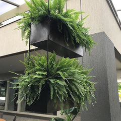 HANGING BLACK PLANTS FOR CAFE,Bringing the Outdoors In with a Living Wall