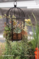 CAGE DECORATION