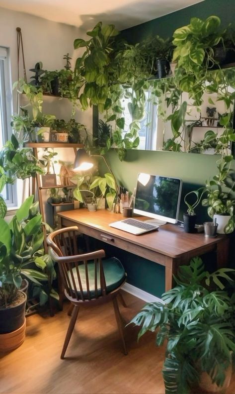 A touch of green brings life to the workspace—our office embraces nature with thoughtfully placed plants that enhance both beauty and productivity.