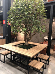 GOOD CAFE,WITH GOOD DECOR,Outdoor Cafés: A Green Retreat