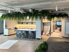 RECEPTION WITH BRIGHT CEILING FRESH HANGING PLANTS