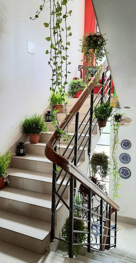 A Green Pathway to Serenity