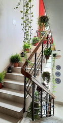 A Green Pathway to Serenity