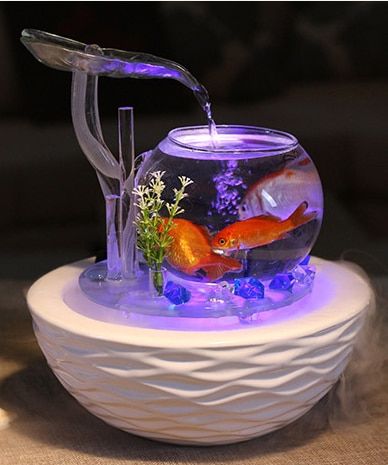 fish with water