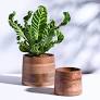 plastic pots