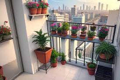 GROW WHERE YOU ARE PLANTED