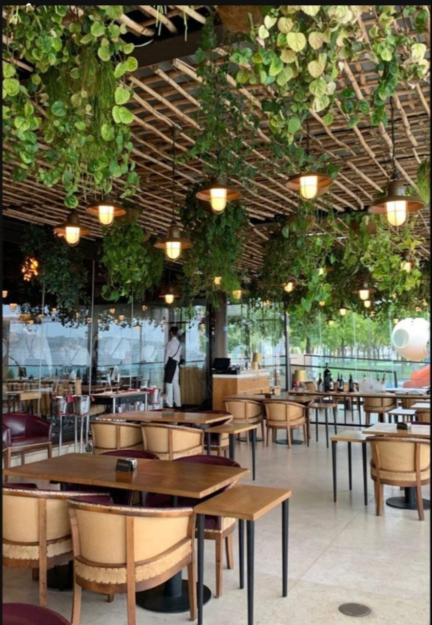 CAFE ROOM,The Role of Plants in Café Aesthetics