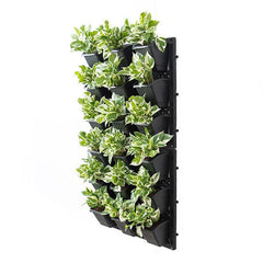 Exhibit Variegated Foliage Beauty with Indoor Vertical Garden