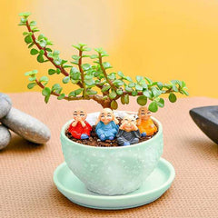 Celebrate Auspicious Occasions with Monks in Jade garden