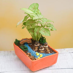 DIY Riverside village - Miniature Garden