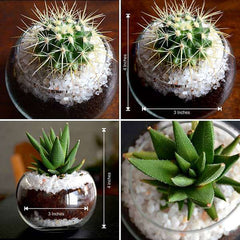 Desert in small glass bowl