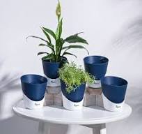 self water pots