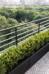 TERRACE BOUNDRY