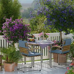 NATURES HUG IN EVERY CORNER,balcony
