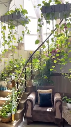 Stairs with plants bring a refreshing flow of nature into your home,