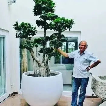 Planters are more than just containers — they are the homes for your plants.